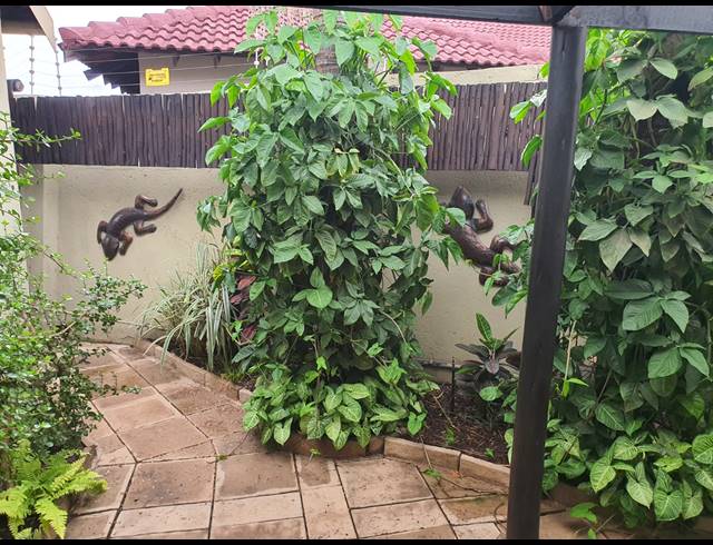 3 BEDROOM FREEHOLD FOR SALE IN WATERVAL EAST